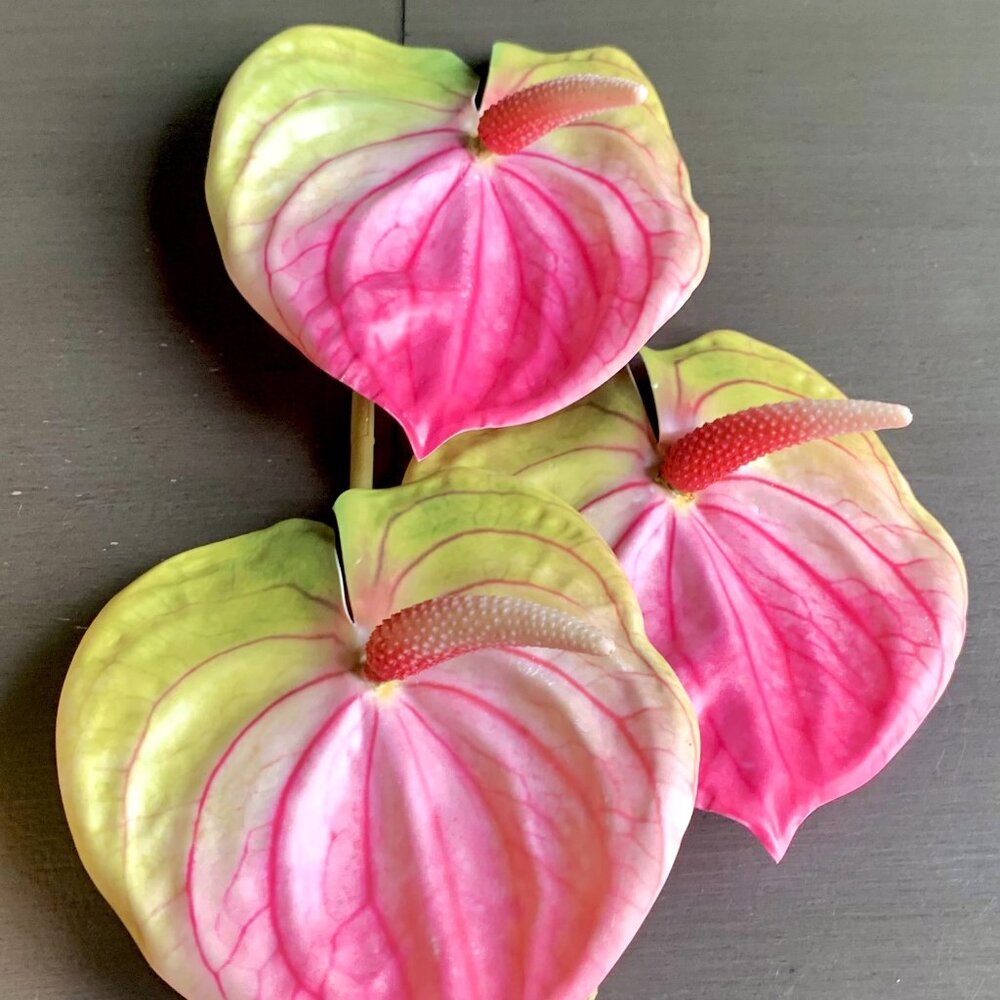 Gorgeous 3 Stems 22.5" Artificial Faux Multicolor Variegated Anthurium Flowers - Picture 6 of 7